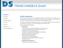 Tablet Screenshot of ds-trans.com